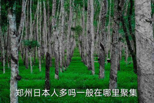鄭州日本人多嗎一般在哪里聚集