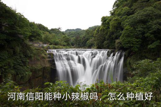 河南信陽能種小辣椒嗎，怎么種植好