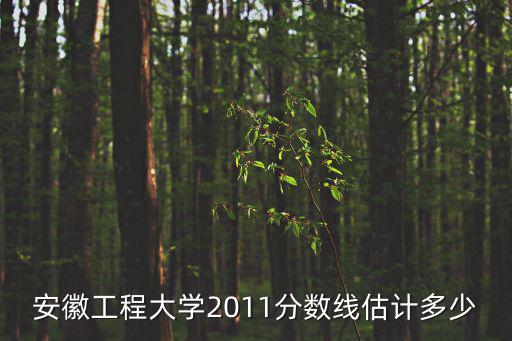 安徽工程大學2011分數線估計多少