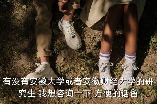 有沒有安徽大學或者安徽財經大學的研究生 我想咨詢一下 方便的話留