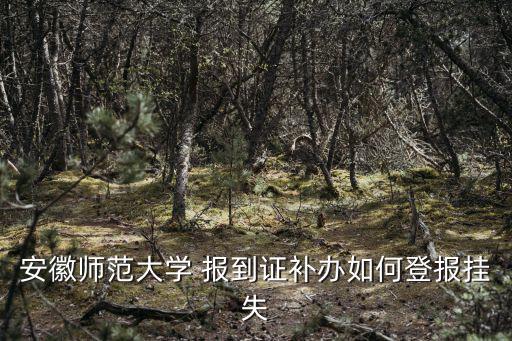 安徽師范大學(xué) 報到證補(bǔ)辦如何登報掛失