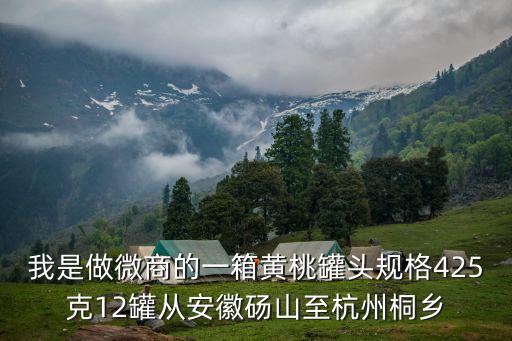 我是做微商的一箱黃桃罐頭規(guī)格425克12罐從安徽碭山至杭州桐鄉(xiāng)
