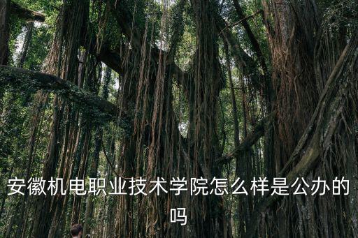 安徽機電職業技術學院，安徽機電職業技術學院分數線是多少