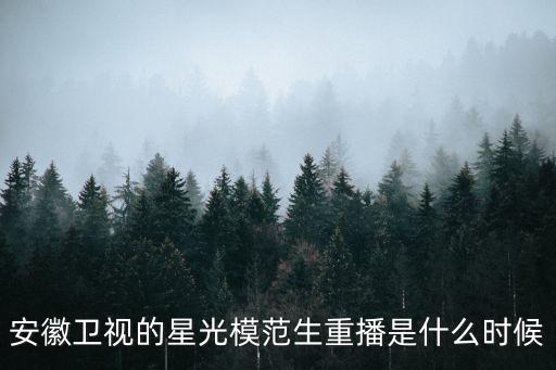 安徽衛視的星光模范生重播是什么時候