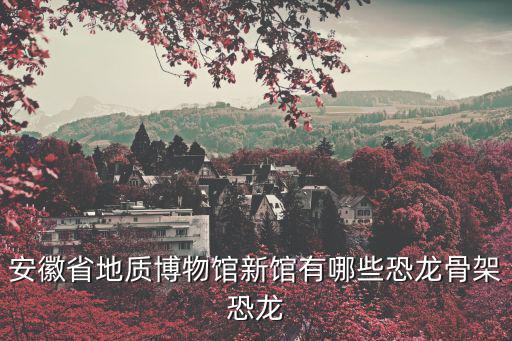 安徽省地質(zhì)博物館新館有哪些恐龍骨架恐龍