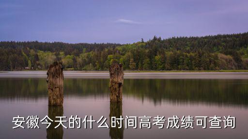 安徽今天的什么時間高考成績可查詢