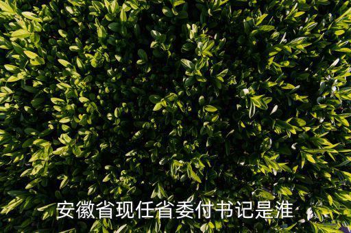 安徽省現(xiàn)任省委付書記是淮