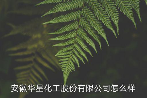 安徽華星化工股份有限公司怎么樣