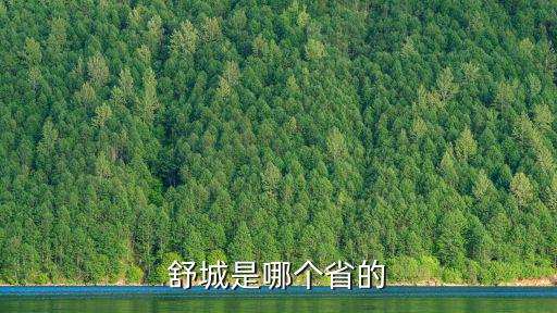 安徽舒城，舒城是哪個省的