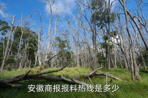安徽商報報料熱線是多少