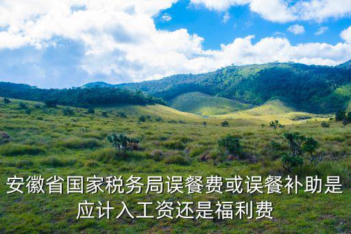 安徽省國家稅務(wù)局誤餐費或誤餐補助是應(yīng)計入工資還是福利費