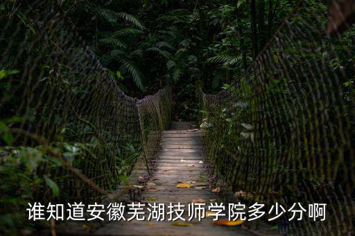 誰知道安徽蕪湖技師學院多少分啊