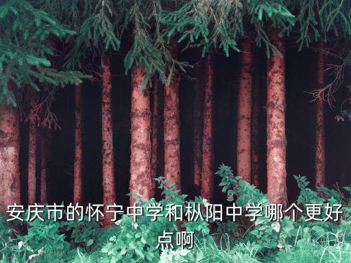 安慶市的懷寧中學(xué)和樅陽中學(xué)哪個(gè)更好點(diǎn)啊