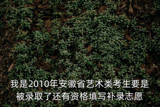 我是2010年安徽省藝術類考生要是被錄取了還有資格填寫補錄志愿