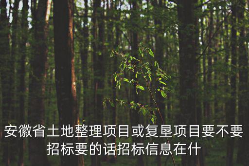 安徽省土地整理項目或復墾項目要不要招標要的話招標信息在什