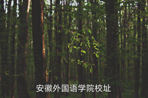 安徽外國語學院校址