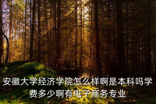 安徽大學經濟學院怎么樣啊是本科嗎學費多少啊有電子商務專業