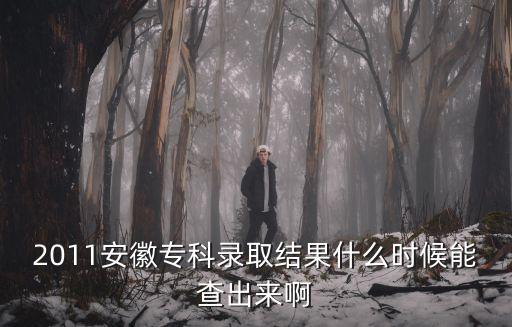2011安徽?？其浫〗Y(jié)果什么時候能查出來啊