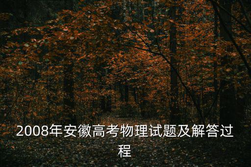 2008年安徽高考物理試題及解答過程
