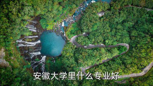 安徽大學里什么專業好