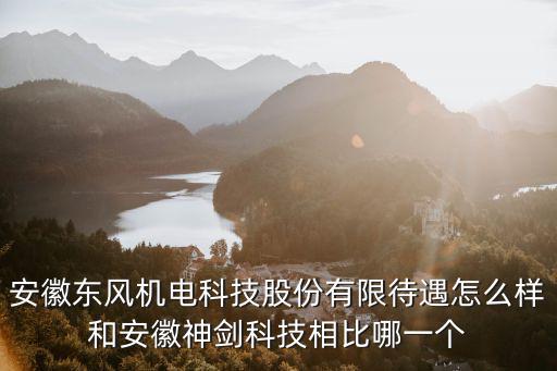 安徽東風(fēng)機(jī)電科技股份有限待遇怎么樣和安徽神劍科技相比哪一個(gè)