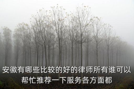 安徽有哪些比較的好的律師所有誰可以幫忙推薦一下服務各方面都