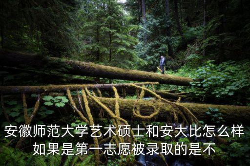安徽師范大學就業信息網，安徽師范大學藝術碩士和安大比怎么樣如果是第一志愿被錄取的是不