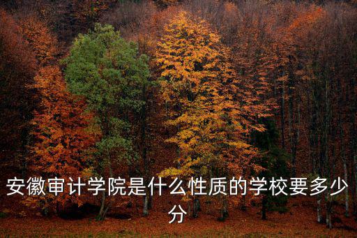 安徽審計(jì)學(xué)院，安徽審計(jì)學(xué)院是什么性質(zhì)的學(xué)校要多少分