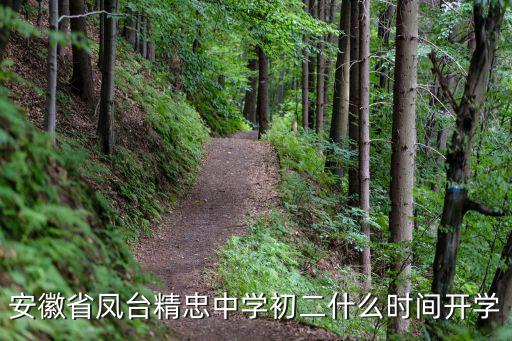 安徽省鳳臺精忠中學(xué)初二什么時間開學(xué)