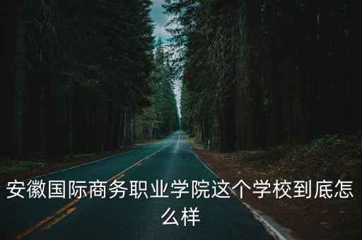 安徽國際商務職業學院這個學校到底怎么樣