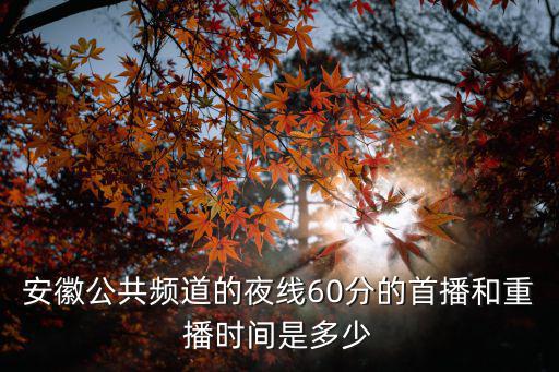 安徽公共頻道的夜線60分的首播和重播時間是多少