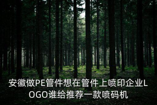 安徽做PE管件想在管件上噴印企業(yè)LOGO誰(shuí)給推薦一款噴碼機(jī)