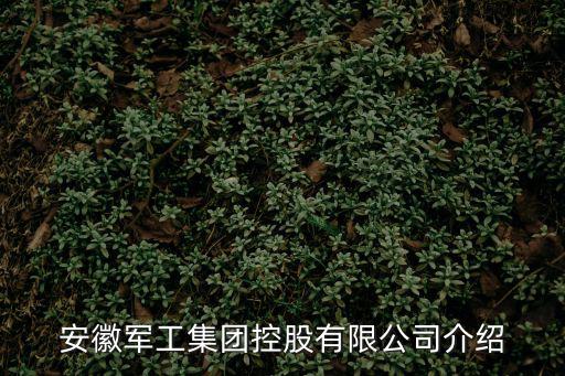 安徽軍工集團(tuán)控股有限公司介紹
