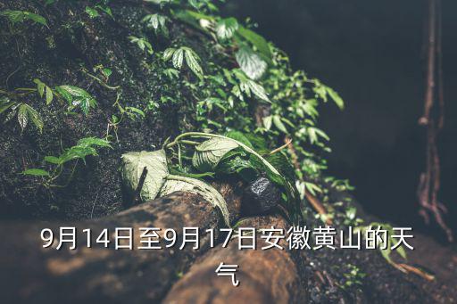 安徽黃山天氣預報，這周末打算去黃山但是看天氣預報黃山周末有雨適不適合去黃山玩