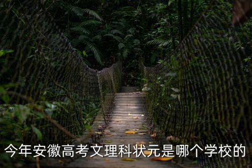 安徽省高考狀元，今年安徽高考文理科狀元是哪個學(xué)校的
