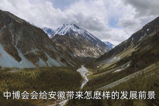 中博會會給安徽帶來怎麼樣的發(fā)展前景