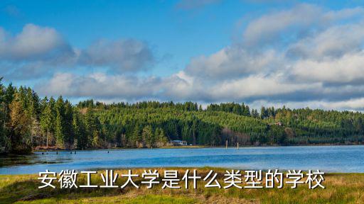 安徽工業大學是什么類型的學校