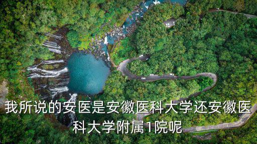 我所說的安醫是安徽醫科大學還安徽醫科大學附屬1院呢