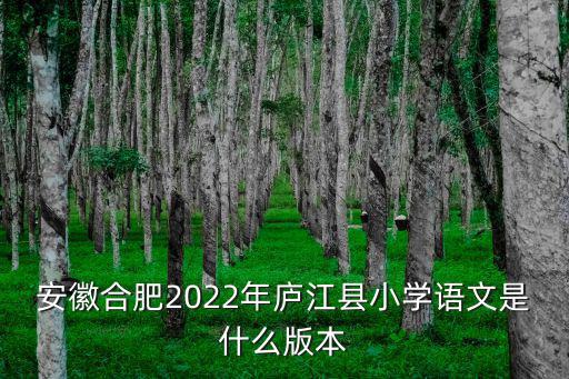 安徽合肥2022年廬江縣小學(xué)語文是什么版本