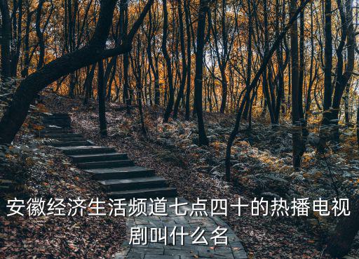 安徽經濟生活頻道七點四十的熱播電視劇叫什么名