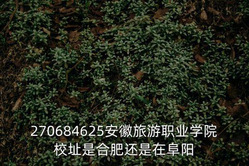 270684625安徽旅游職業學院校址是合肥還是在阜陽