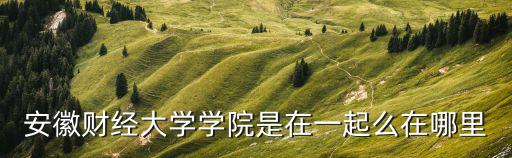 安徽財經學院，安徽財經大學有幾個學院