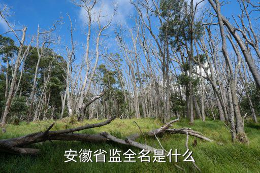安徽省監全名是什么