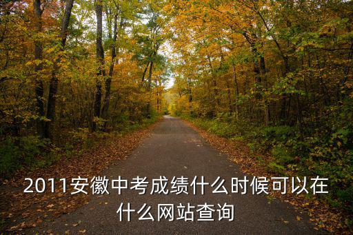 2011安徽中考成績什么時候可以在什么網站查詢