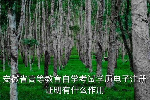 安徽省高等教育自學(xué)考試學(xué)歷電子注冊證明有什么作用