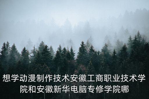 想學動漫制作技術安徽工商職業技術學院和安徽新華電腦專修學院哪