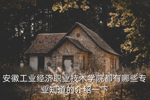 安徽工業經濟職業技術學院都有哪些專業知道的介紹一下