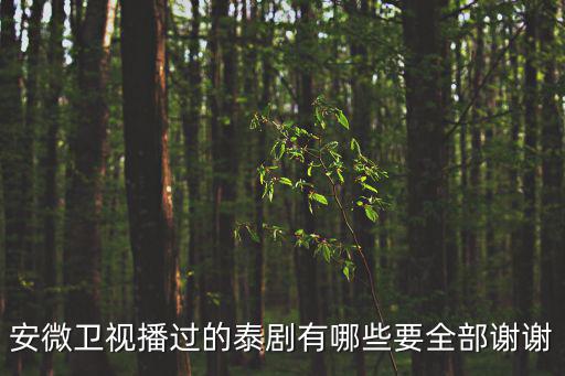 安徽臺泰國電視劇，安徽衛(wèi)視所有泰劇名稱