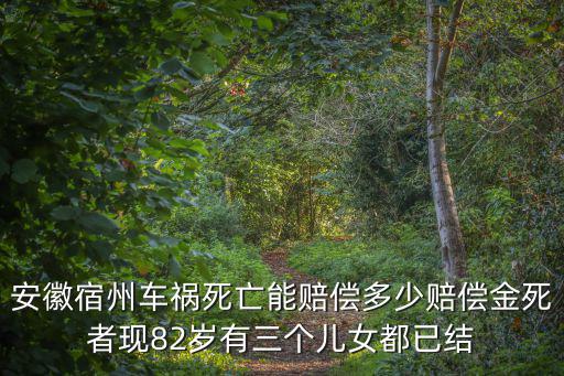安徽車禍，自己開車從安徽宿州到河北滄州需要幾個小時