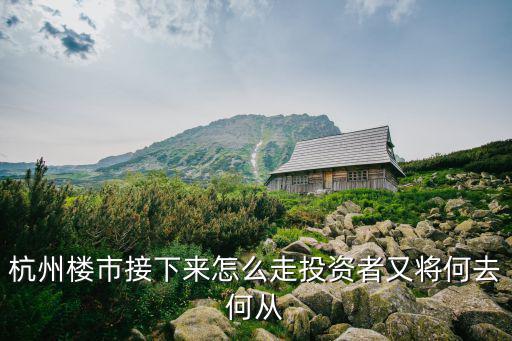 杭州樓市接下來怎么走投資者又將何去何從